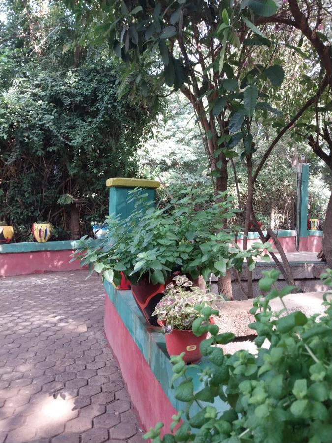 Green Garden Guest House 阿鲁沙 外观 照片