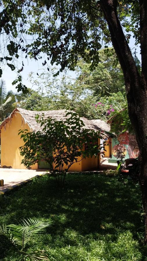 Green Garden Guest House 阿鲁沙 外观 照片